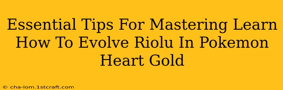 Essential Tips For Mastering Learn How To Evolve Riolu In Pokemon Heart Gold