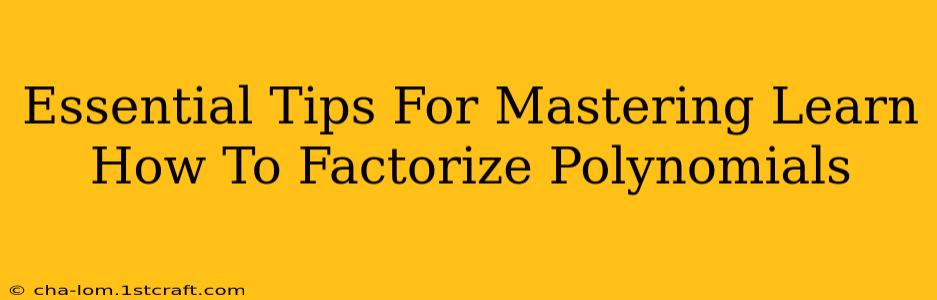 Essential Tips For Mastering Learn How To Factorize Polynomials