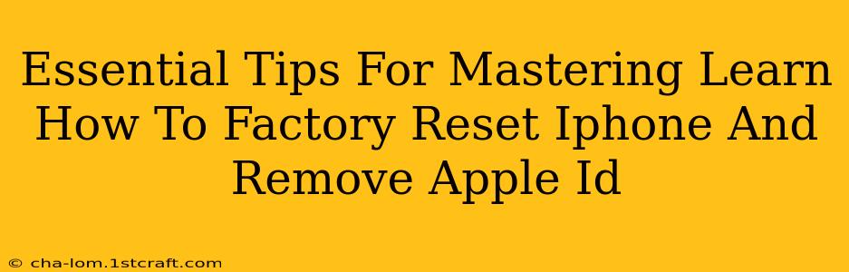 Essential Tips For Mastering Learn How To Factory Reset Iphone And Remove Apple Id