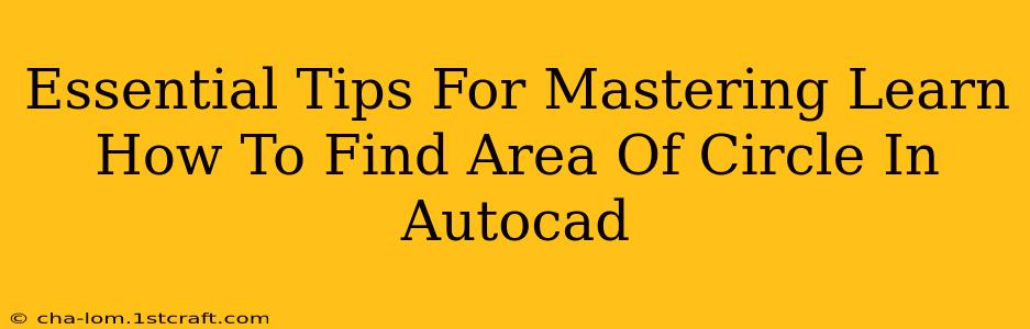 Essential Tips For Mastering Learn How To Find Area Of Circle In Autocad