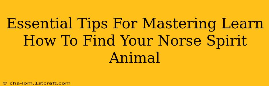 Essential Tips For Mastering Learn How To Find Your Norse Spirit Animal