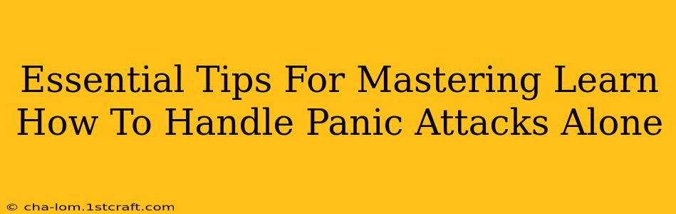 Essential Tips For Mastering Learn How To Handle Panic Attacks Alone