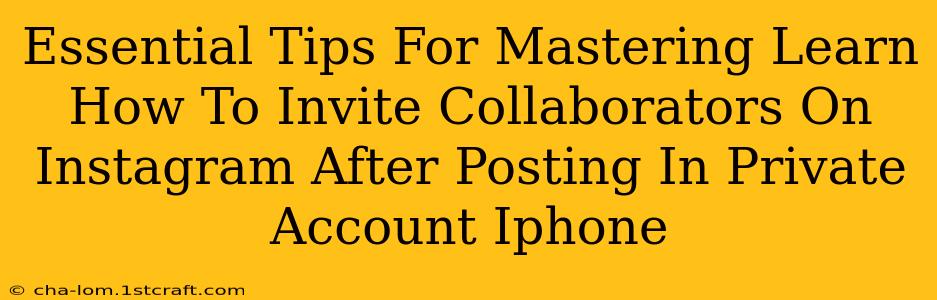 Essential Tips For Mastering Learn How To Invite Collaborators On Instagram After Posting In Private Account Iphone