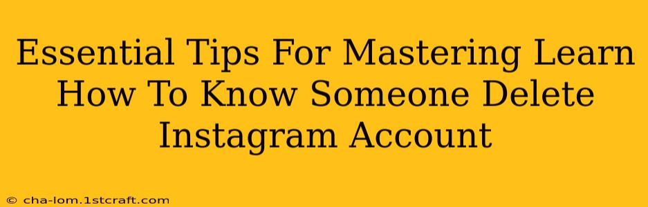 Essential Tips For Mastering Learn How To Know Someone Delete Instagram Account