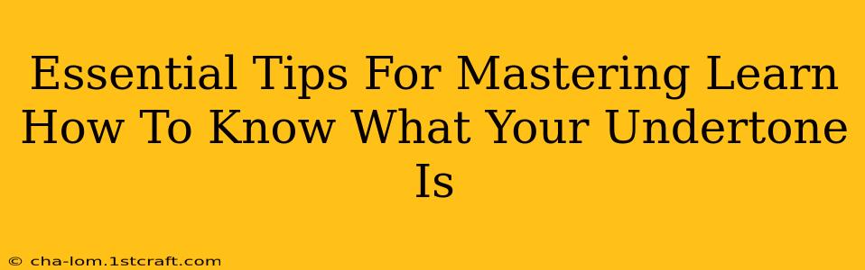 Essential Tips For Mastering Learn How To Know What Your Undertone Is