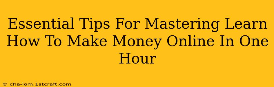 Essential Tips For Mastering Learn How To Make Money Online In One Hour