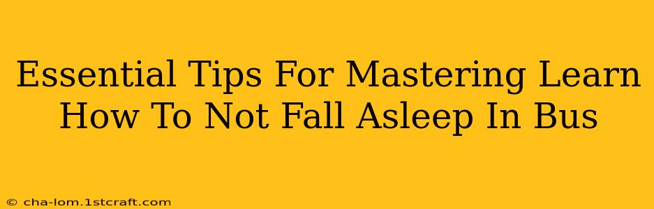 Essential Tips For Mastering Learn How To Not Fall Asleep In Bus