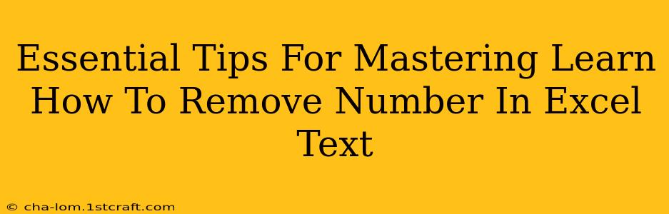 Essential Tips For Mastering Learn How To Remove Number In Excel Text