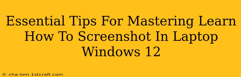 Essential Tips For Mastering Learn How To Screenshot In Laptop Windows 12