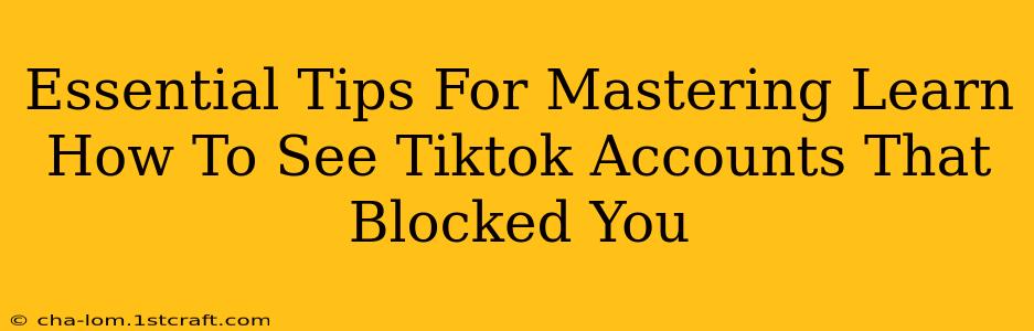 Essential Tips For Mastering Learn How To See Tiktok Accounts That Blocked You