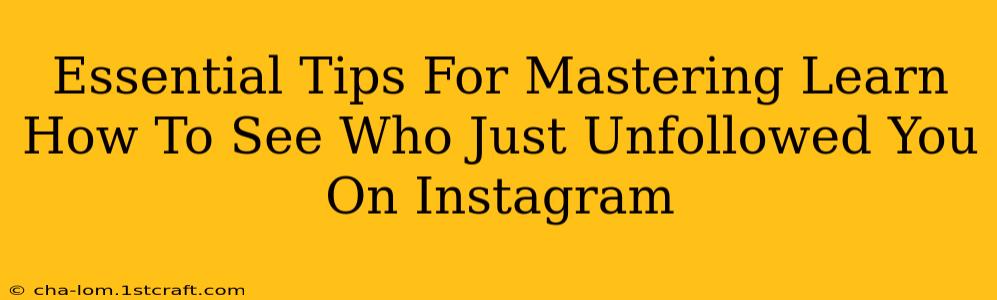 Essential Tips For Mastering Learn How To See Who Just Unfollowed You On Instagram