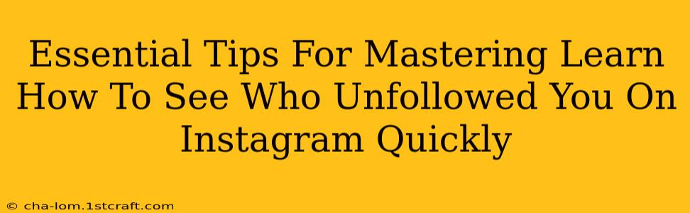 Essential Tips For Mastering Learn How To See Who Unfollowed You On Instagram Quickly