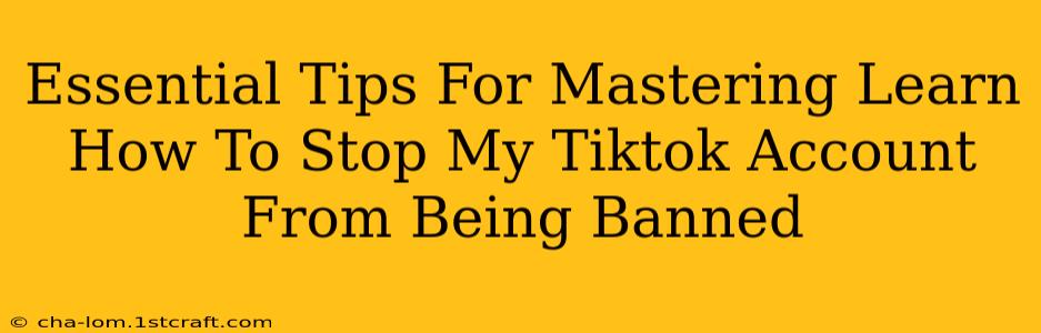 Essential Tips For Mastering Learn How To Stop My Tiktok Account From Being Banned