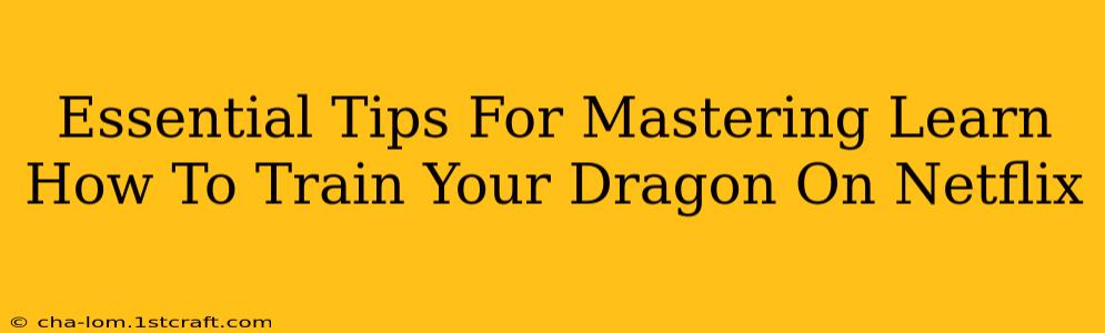 Essential Tips For Mastering Learn How To Train Your Dragon On Netflix