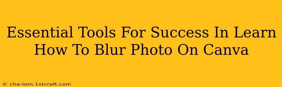 Essential Tools For Success In Learn How To Blur Photo On Canva