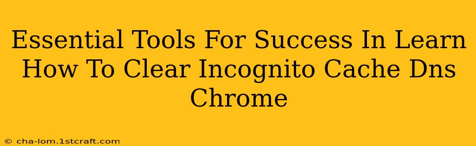 Essential Tools For Success In Learn How To Clear Incognito Cache Dns Chrome