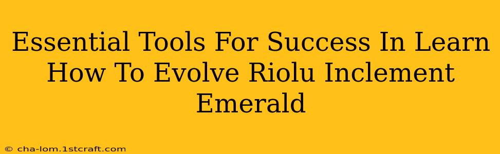 Essential Tools For Success In Learn How To Evolve Riolu Inclement Emerald