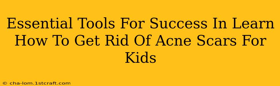 Essential Tools For Success In Learn How To Get Rid Of Acne Scars For Kids