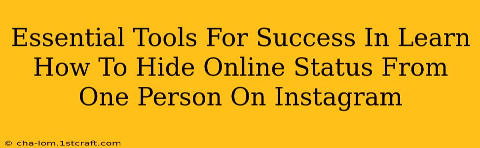 Essential Tools For Success In Learn How To Hide Online Status From One Person On Instagram