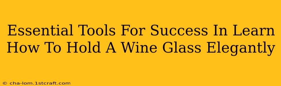 Essential Tools For Success In Learn How To Hold A Wine Glass Elegantly