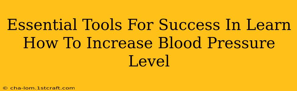 Essential Tools For Success In Learn How To Increase Blood Pressure Level