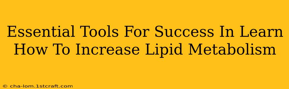 Essential Tools For Success In Learn How To Increase Lipid Metabolism