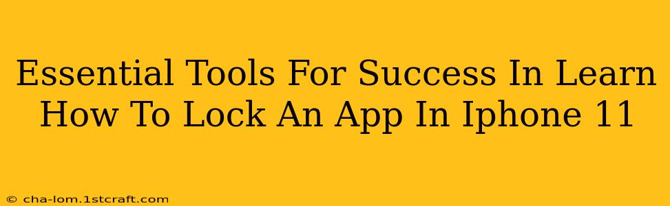 Essential Tools For Success In Learn How To Lock An App In Iphone 11