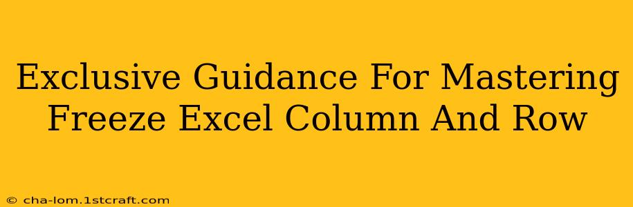 Exclusive Guidance For Mastering Freeze Excel Column And Row