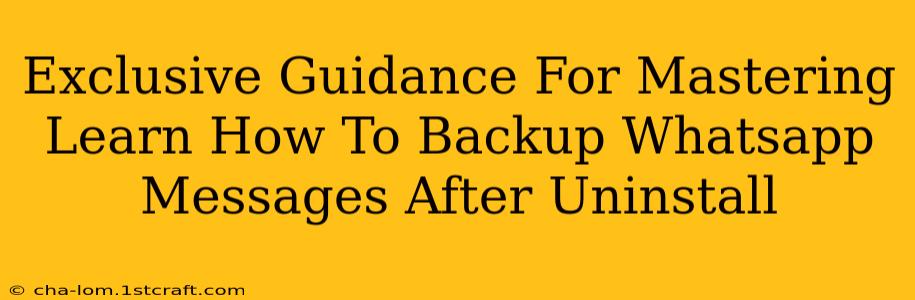 Exclusive Guidance For Mastering Learn How To Backup Whatsapp Messages After Uninstall