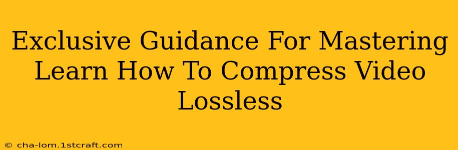 Exclusive Guidance For Mastering Learn How To Compress Video Lossless