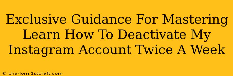 Exclusive Guidance For Mastering Learn How To Deactivate My Instagram Account Twice A Week