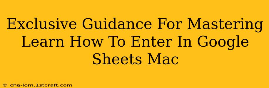 Exclusive Guidance For Mastering Learn How To Enter In Google Sheets Mac