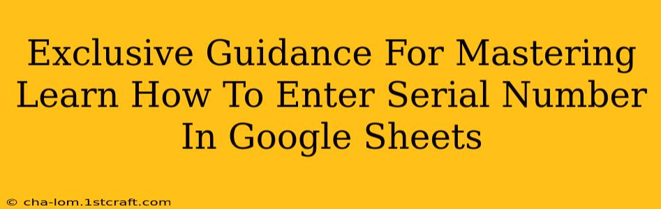 Exclusive Guidance For Mastering Learn How To Enter Serial Number In Google Sheets