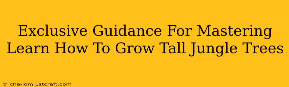 Exclusive Guidance For Mastering Learn How To Grow Tall Jungle Trees