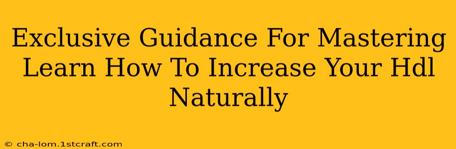 Exclusive Guidance For Mastering Learn How To Increase Your Hdl Naturally