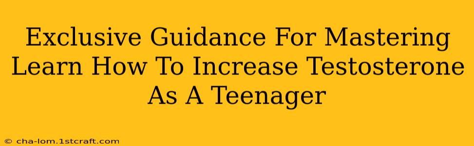 Exclusive Guidance For Mastering Learn How To Increase Testosterone As A Teenager