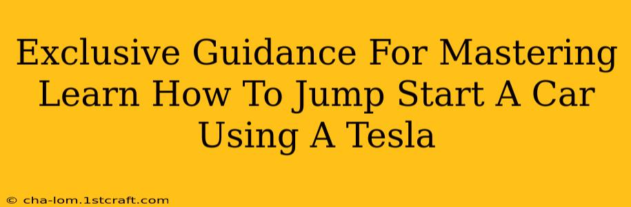 Exclusive Guidance For Mastering Learn How To Jump Start A Car Using A Tesla