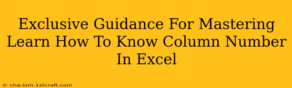 Exclusive Guidance For Mastering Learn How To Know Column Number In Excel