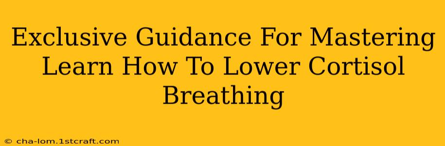 Exclusive Guidance For Mastering Learn How To Lower Cortisol Breathing