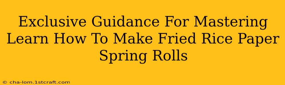 Exclusive Guidance For Mastering Learn How To Make Fried Rice Paper Spring Rolls