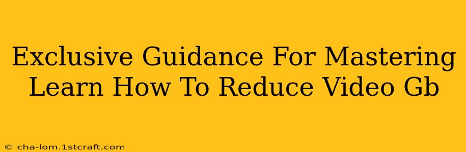 Exclusive Guidance For Mastering Learn How To Reduce Video Gb