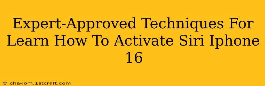 Expert-Approved Techniques For Learn How To Activate Siri Iphone 16