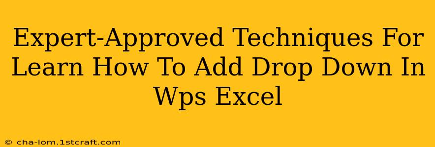 Expert-Approved Techniques For Learn How To Add Drop Down In Wps Excel