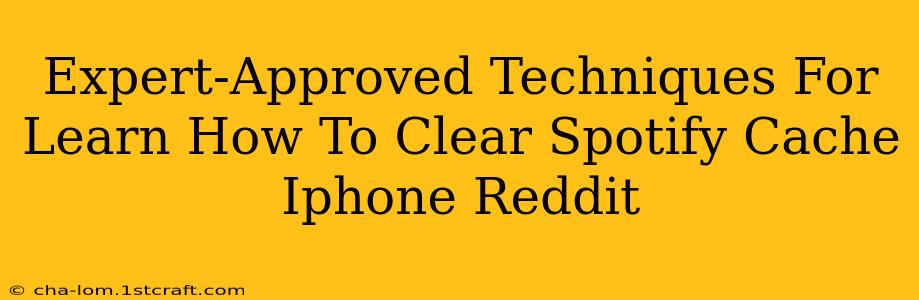 Expert-Approved Techniques For Learn How To Clear Spotify Cache Iphone Reddit