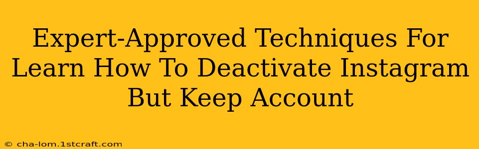 Expert-Approved Techniques For Learn How To Deactivate Instagram But Keep Account