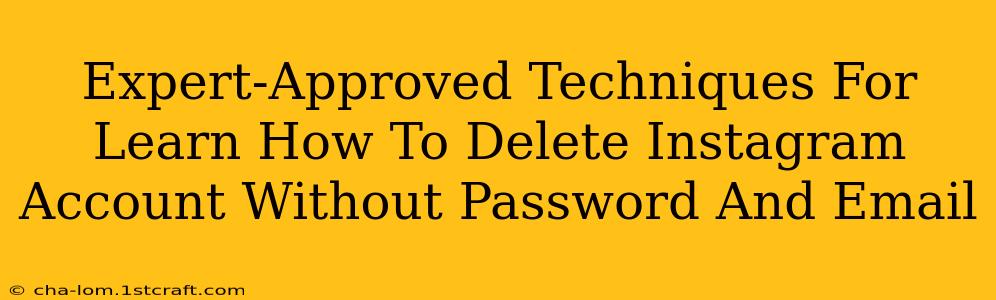 Expert-Approved Techniques For Learn How To Delete Instagram Account Without Password And Email