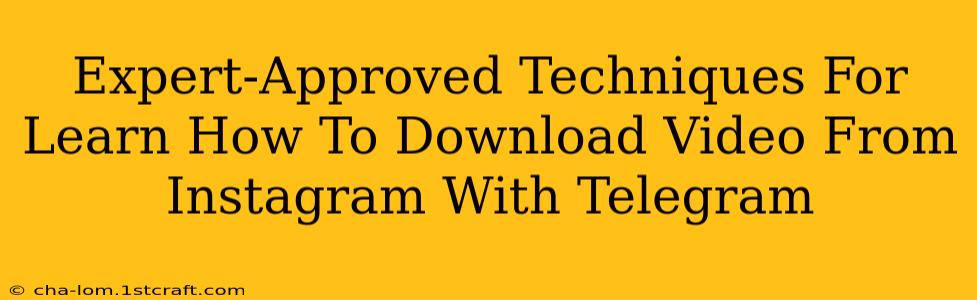 Expert-Approved Techniques For Learn How To Download Video From Instagram With Telegram