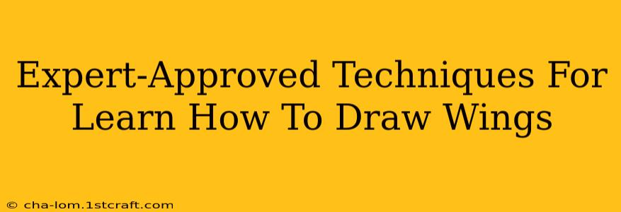 Expert-Approved Techniques For Learn How To Draw Wings