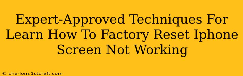 Expert-Approved Techniques For Learn How To Factory Reset Iphone Screen Not Working