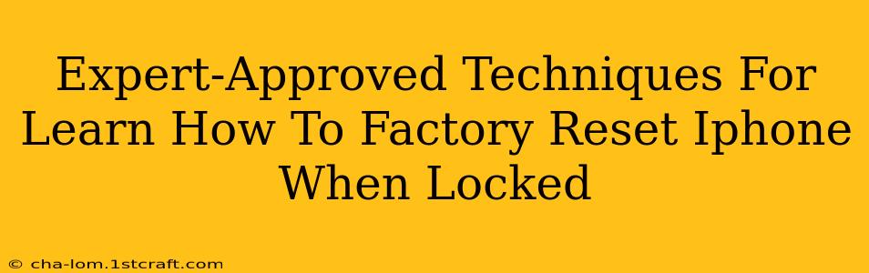 Expert-Approved Techniques For Learn How To Factory Reset Iphone When Locked